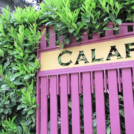 住宿加早餐酒店 Bb La Bella Addormentata E Il Principe Calaf 2*